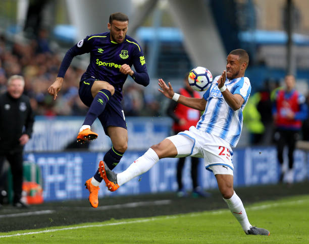 仅增强了篮 仅增强了篮